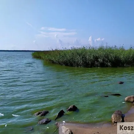 In Near A Osieki (Koszalin)