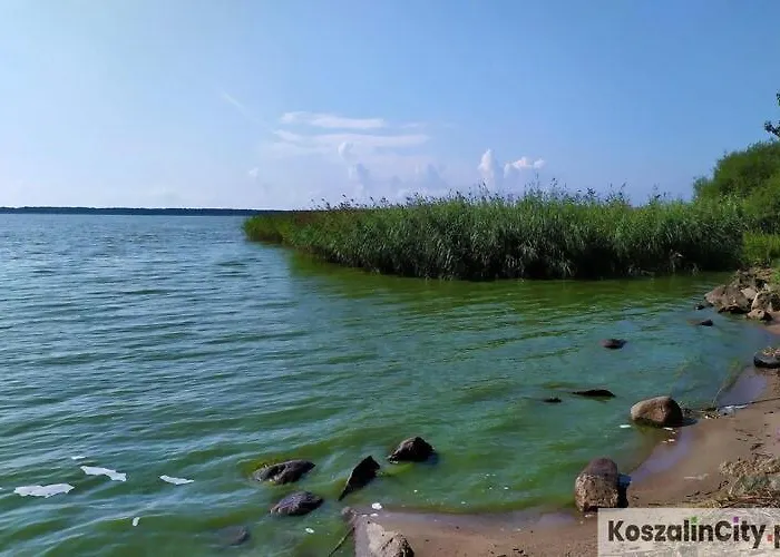 Σπίτι διακοπών In Near A Osieki (Koszalin)